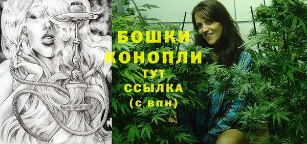 молекула духа Беломорск